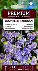 Sweet Pea Countess Cadogan Seed